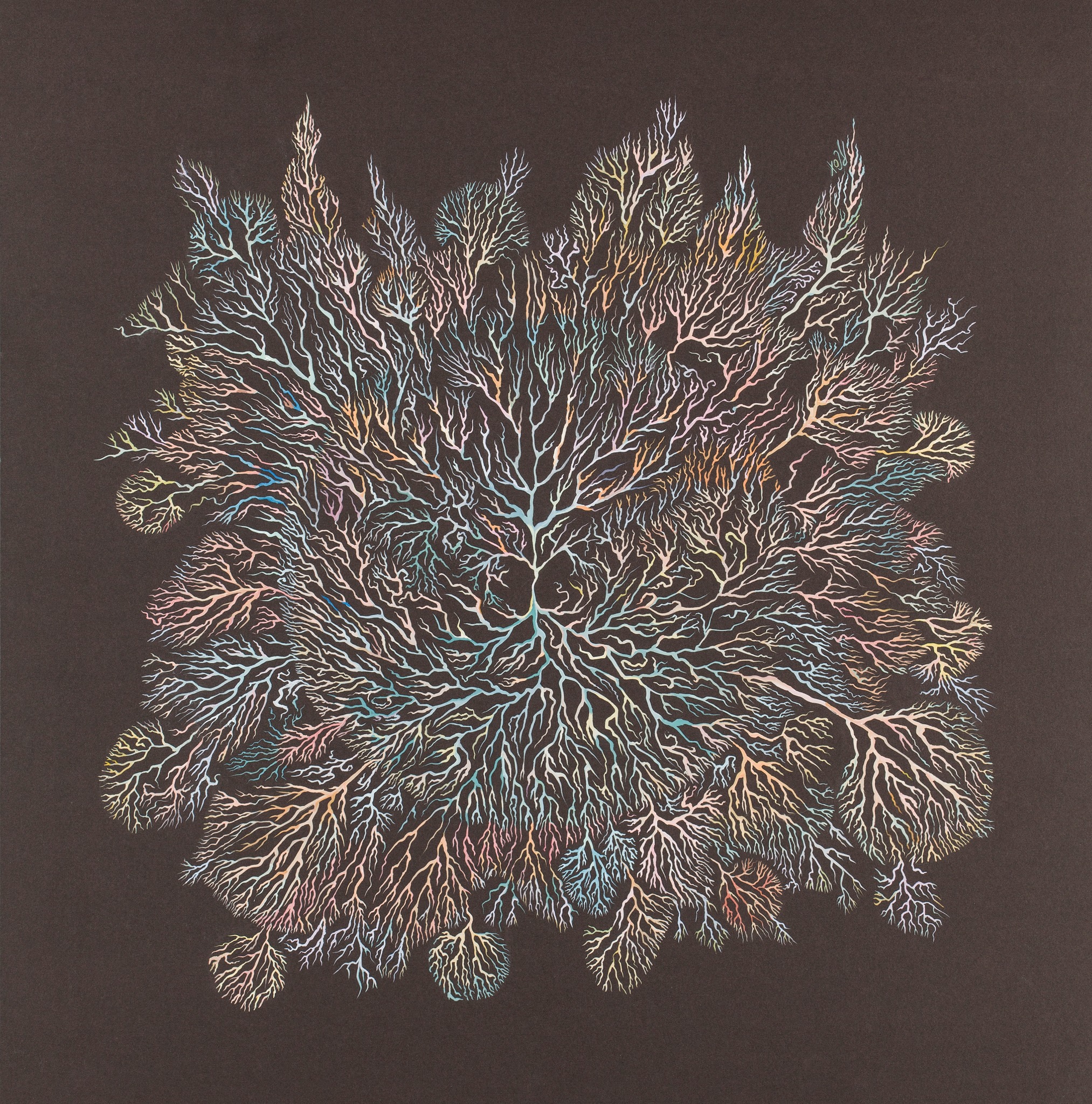 Branch Out, an intricate branching artwork by Rebecca Cox